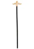 Plague Doctor's Staff
