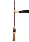 Salem Witch Deluxe Broom Prop