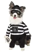 Robber Pup Costume for Pets | Pet Costumes