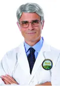 Men's Wig - Silver Fox