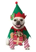 Pet Elf Dog Costume | Holiday Pet Costumes