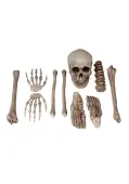 Bag O' Bones Decoration