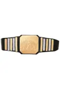 Pro Wrestling Championship Belt