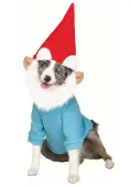 Pet Garden Gnome Costume | Storybook Pet Costumes