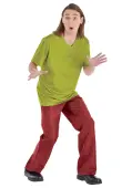 Classic Shaggy Men's Costume | Scooby Doo Costumes