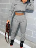 LW BASICS Casual Polyester Hooded Collar Solid Color Long Sleeve Two-piece Pants Set