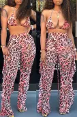 LW Leopard Printed Two-piece Swimwear