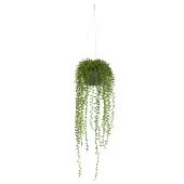 Nearly Natural String Of Pearl 21""H Artificial Plant With Hanging Basket, 21""H x 6""W x 6""D, Green