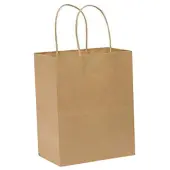 Duro Bag Novolex™ Paper Shopping Bags, 10 1/4""H x 8""W x 4 1/2""D, Kraft, Carton Of 250