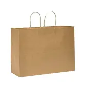 Duro Bag Novolex™ Paper Shopping Bags, 12""H x 16""W x 6""D, Kraft, Carton Of 250
