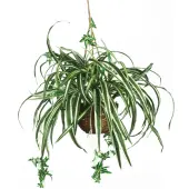 Nearly Natural 27"" Silk Hanging Spider Plant With Basket