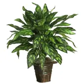 Nearly Natural 31"" Silver King Plant With Basket
