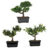 Nearly Natural 8 1/2"" Silk Bonsai Plant With Pot, 8 1/2""H x 8 1/2""W x 5""D, Set of 3