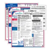 ComplyRight® Federal (Bilingual), State and Local (English) Labor Law 1-Year Poster Service, Mississippi