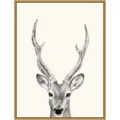 Amanti Art Animal Mug IV Deer by Victoria Borges Framed Canvas Wall Art Print, 24""H x 18""W, Gold