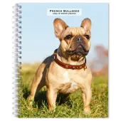 2025 BrownTrout French Bulldogs Weekly Spiral-Bound Wire-O Engagement Planner Calendar, 6"" x 7 3/4""