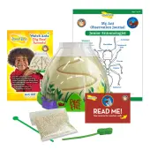 Insect Lore Ant Hill Ant Habitat, Multicolor