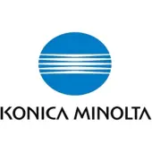 Konica Minolta TN-211 - Black - original - toner cartridge - for bizhub 200, 222, 250, 282