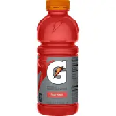 Gatorade Fruit Punch Sports Drink, 20 Oz, Pack Of 24