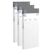 Winsor & Newton Professional Cotton-Stretched Traditional Canvases, 6"" x 12"", White, Pack Of 2