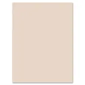 Pacon® Tag Board, 9"" x 12"", 128 Lb, Manila, Pack Of 100