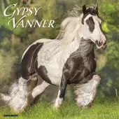 2026 Willow Creek Press Animals Monthly Wall Calendar, 12"" x 12"", Gypsy Vanner Horse, January To December, 51429