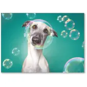 Viabella Blank Note Greeting Card, Dog, 5"" x 7"", Multicolor