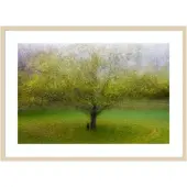 Amanti Art The Cat By The Tree by Arne Ostlund Wood Framed Wall Art Print, 41""W x 30""H, Natural