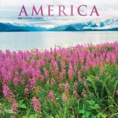2025 BrownTrout America Monthly Plastic-Free Square Wall Calendar, 12"" x 12"", America Regional, January to December 2025, 9781975474447