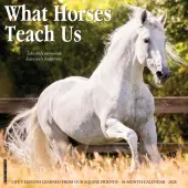 2026 Willow Creek Press Animals Monthly Wall Calendar, 12"" x 12"", What Horses Teach Us, January To December, 53195