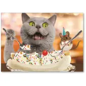 Viabella Fun Birthday Greeting Card With Envelope, Sundae Cat, 5"" x 7""
