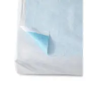 Medline Disposable Polyethylene Flat Stretcher Sheet, 40"" x 90"", Blue