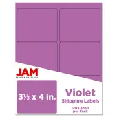 JAM Paper® Mailing Address Labels, Rectangle, 3 1/3"" x 4"", Purple, Pack Of 120