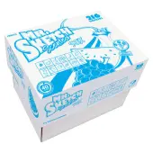 Mr. Sketch Stix Classpack Scented Markers - 0.8 mm Fine Bullet Marker Point