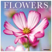 2026 Willow Creek Press Art & Design Monthly Wall Calendar, 12"" x 12"", Flowers, January To December, 51139
