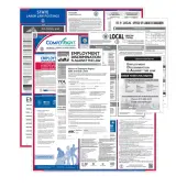ComplyRight® Federal, State And Local Labor Law 1-Year Poster Service, English, Arkansas