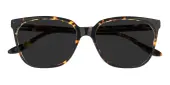 Square Sunglasses, Full Frame Tortoise Plastic - SUP0653