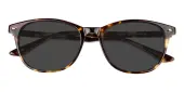 Oval|Classic Wayframe Sunglasses, Full Frame Tortoise Plastic - SUP0798