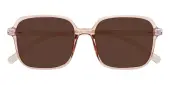 Square Sunglasses, Full Frame Champagne TR90 - SUP1105