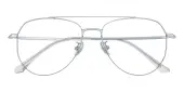 Aviator Eyeglasses, Full Frame Silver Titanium - FT0685