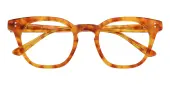 Square|Horn Eyeglasses, Full Frame Tortoise Plastic - FZ2071