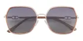 Polygon Sunglasses, Full Frame Champagne TR90|Metal - SUP1523