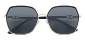 Polygon Sunglasses, Full Frame Black TR90|Metal - SUP1524