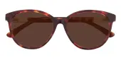 Oval|Cat Eye Sunglasses, Full Frame Tortoise Plastic - SUP1557