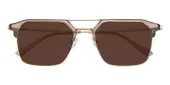 Aviator|Browline Sunglasses, Full Frame Champagne TR90|Metal - SUP1679
