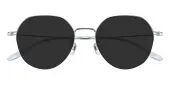 Polygon Sunglasses, Half Frame Silver Titanium - SUP1669