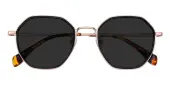 Polygon Sunglasses, Full Frame Black Plastic - SUP1710