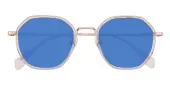 Polygon Sunglasses, Full Frame Crystal/Rose Gold Plastic - SUP1711