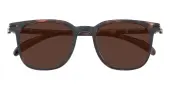 Square Sunglasses, Full Frame Tortoise TR90 - SUP1719