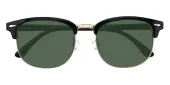 Oval|Browline Sunglasses, Full Frame Black TR90|Metal - SUP1783